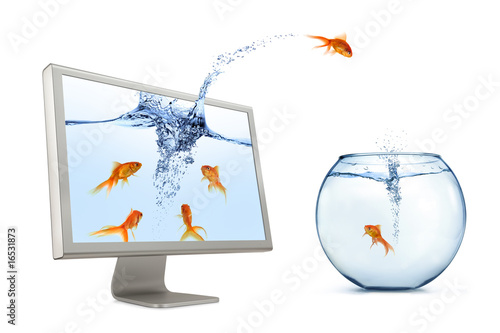 Goldfish Jumping Out Of Screen