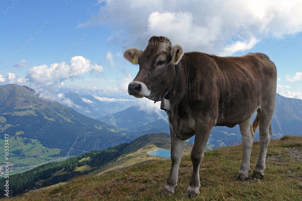 Schöne Aussicht Schöne Aussicht