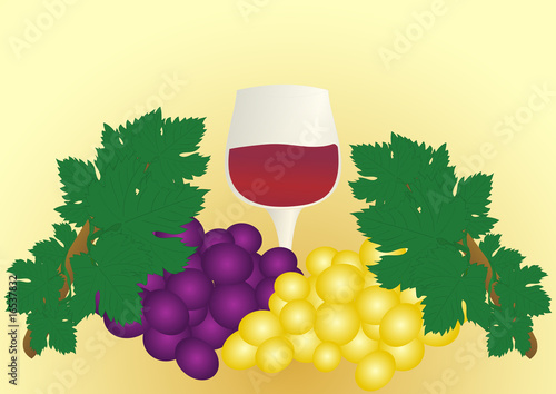 sfondo vino e uve
