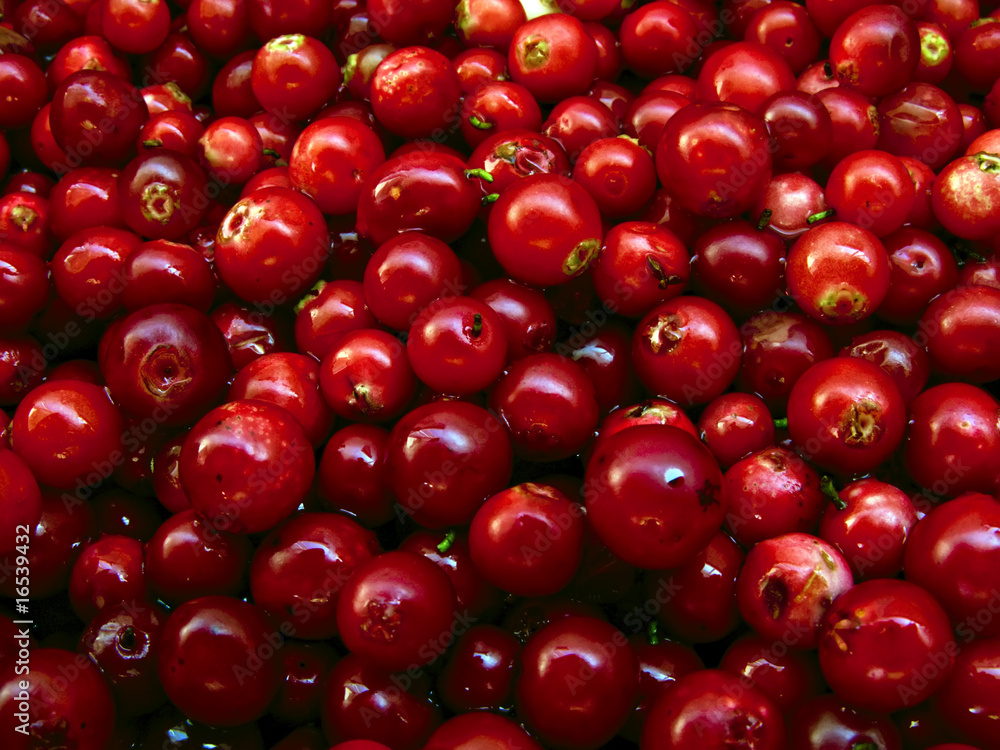 Cowberries Cowberries