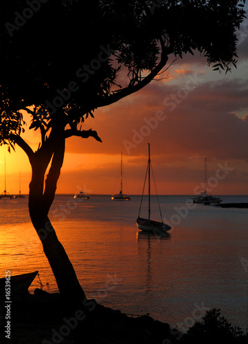 GOLDEN SUNSET