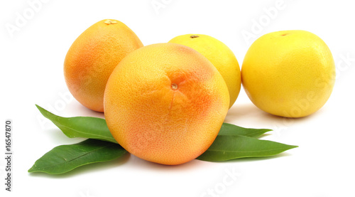 Grapefruits with leaves photo