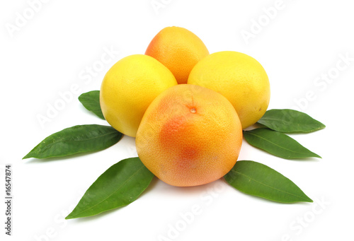 Grapefruits with leaves photo