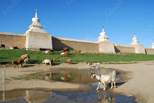 Monastere d'Erdenet Zuu et ses 108 stupas, Mongolie photo