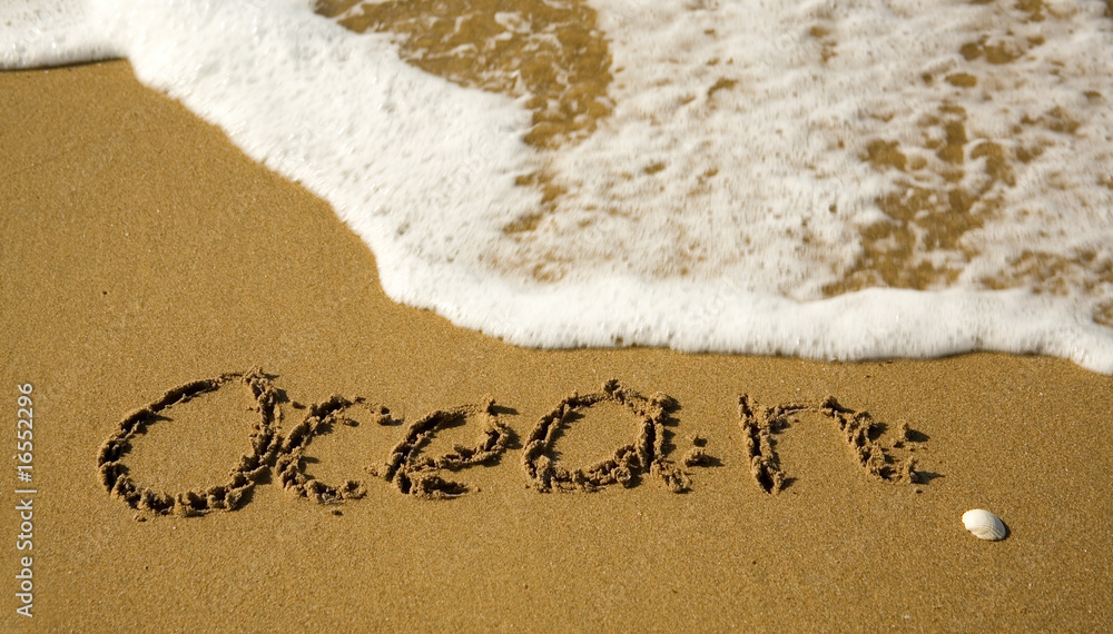 Fototapeta premium Word Ocean written on the sand