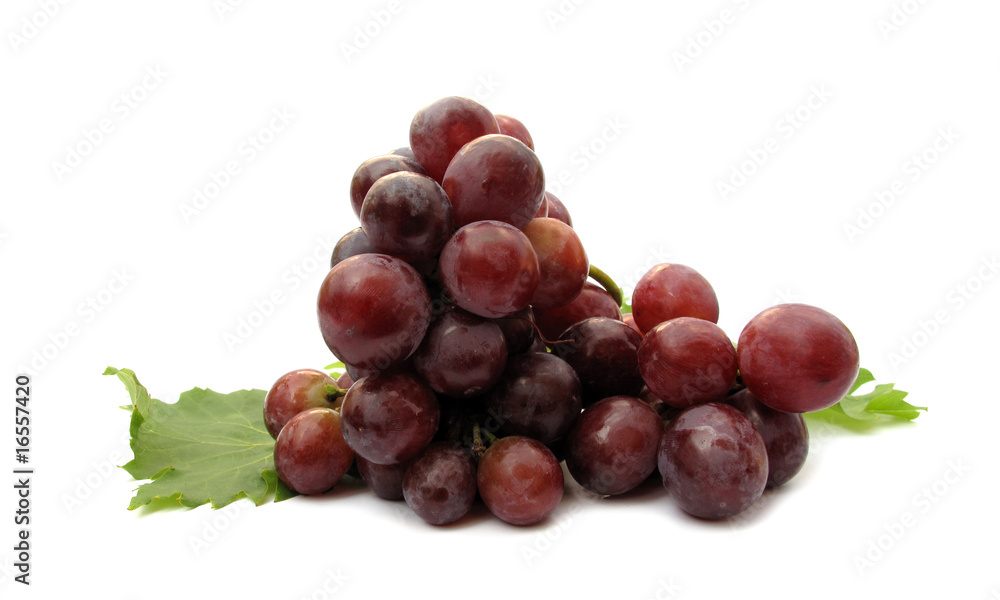 Grapes ripe with vines