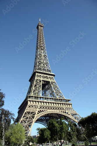 Tour Eiffel et verdure  Paris
