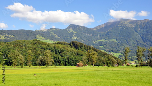 vallée alpine verdoyante