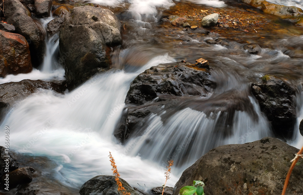 River River