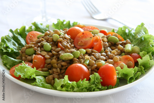 Italian Lentil Salad