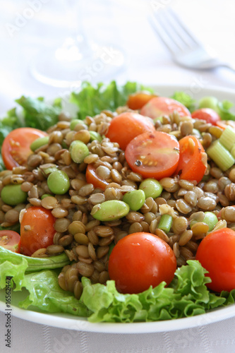 Italian Lentil Salad