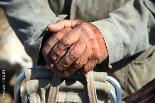 Closeup old working farmer hands © Davydov