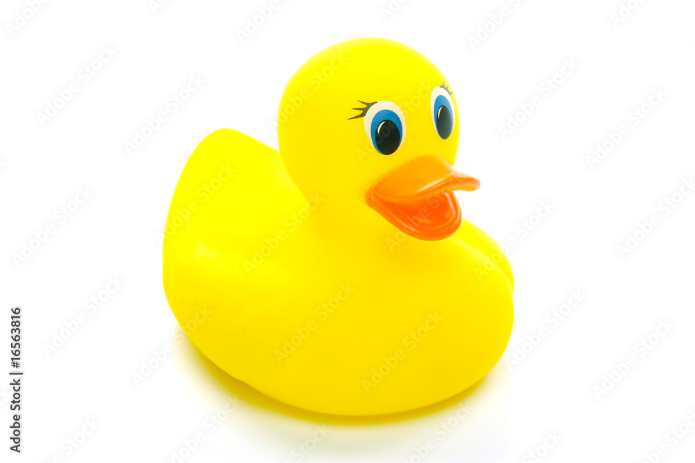 Floating Duck Floating Duck