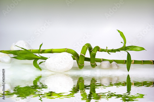 Bambus mit weißen Steinen und Wasserspiegelung © Stockwerk-Fotodesign