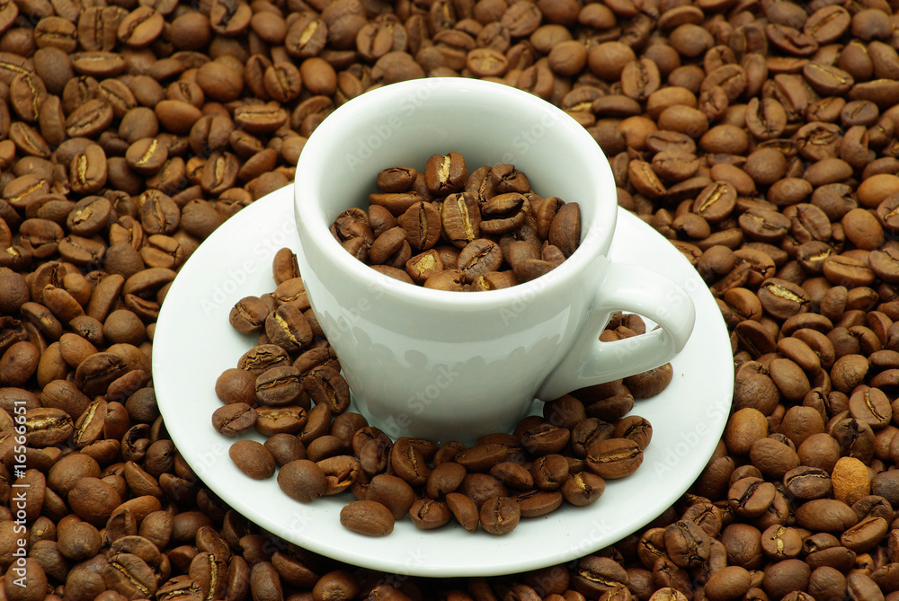 Fototapeta premium Coffee beans