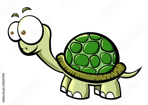 cartoon  turtle