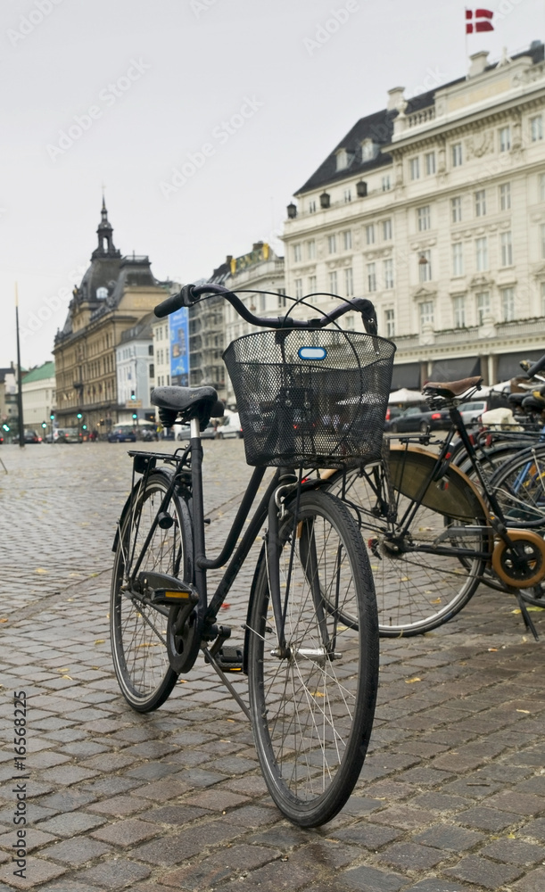 Copenhagen Bycicle