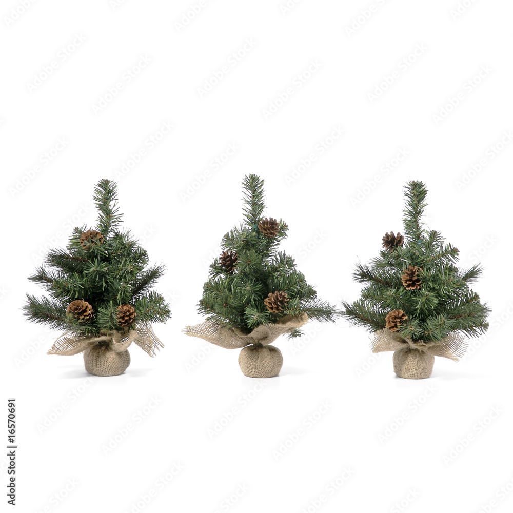 Weihnachtsbaum Weihnachtsbaum