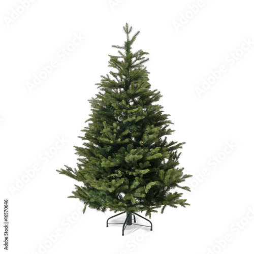 Weihnachtsbaum © dudek