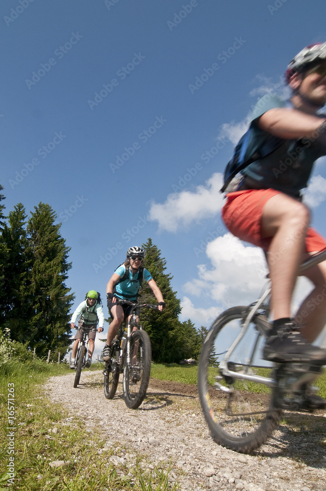Fototapeta premium rasante Abfahrt auf dem MTB
