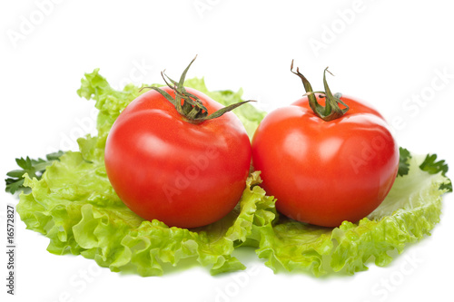 colorful fresh vegetables isolated