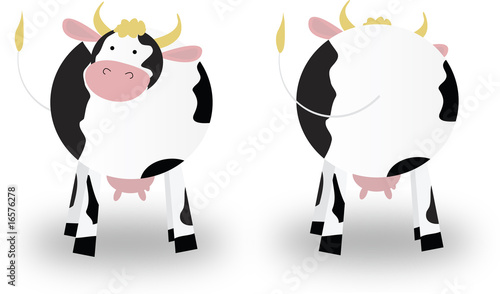 cow's front and rear view