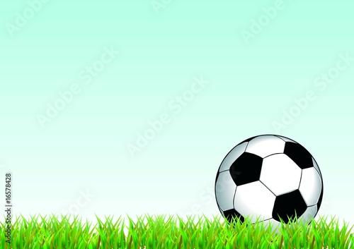 Pallone nell'erba