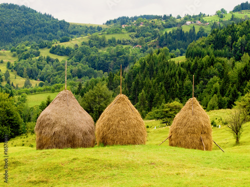 Haystack