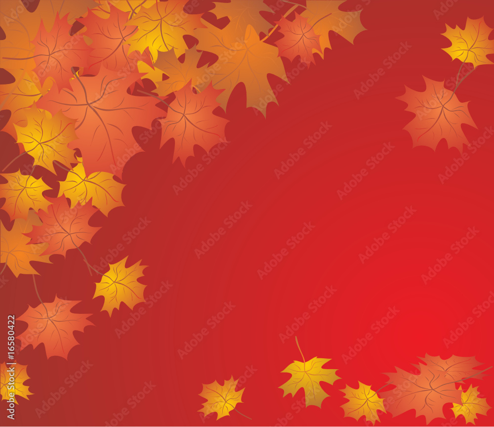 Autumn background Autumn background
