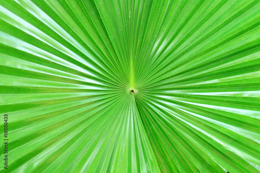 green background green background