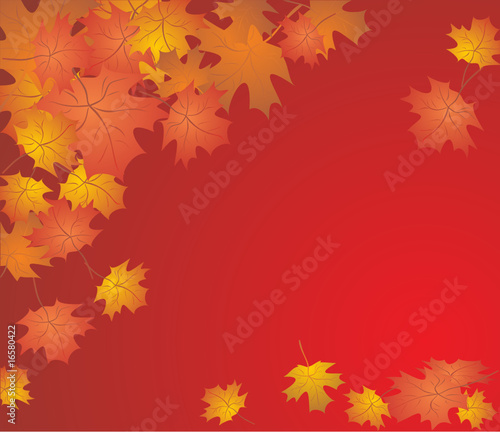 Autumn background