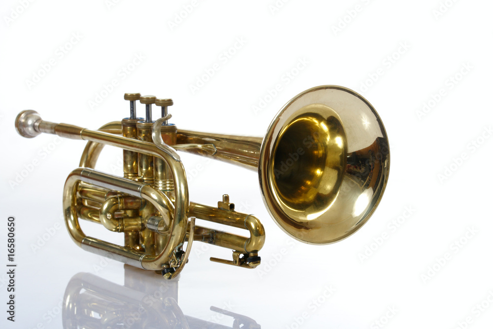 Obraz premium Trumpet