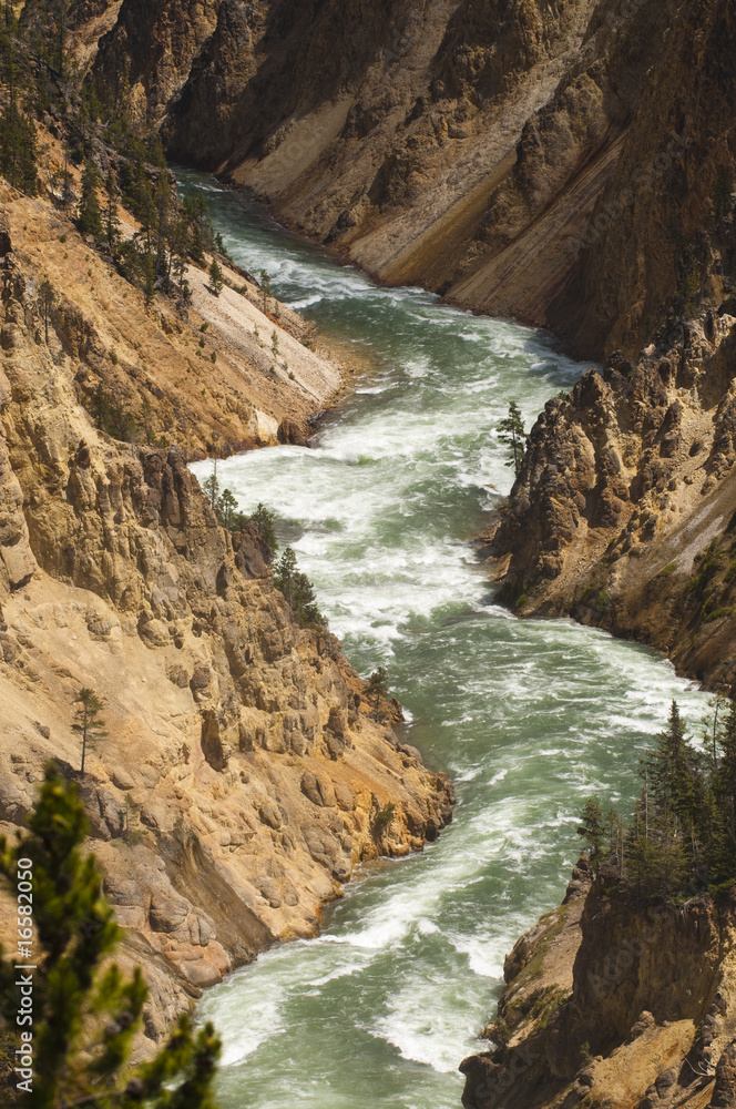 Obraz premium yellowstone river