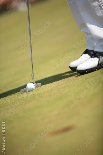 golf photo