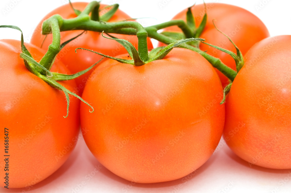 Tomatoes. Tomatoes.