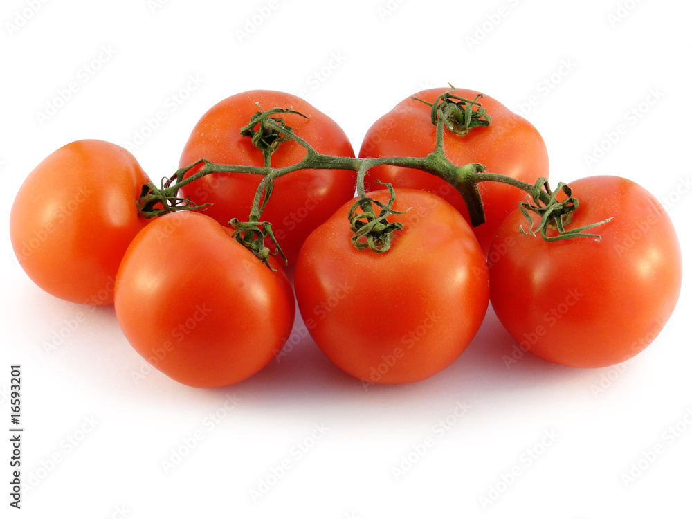 Tomatoes Tomatoes
