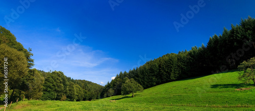 sumer landscape at Germany wiht blue sky and mountain © Anobis