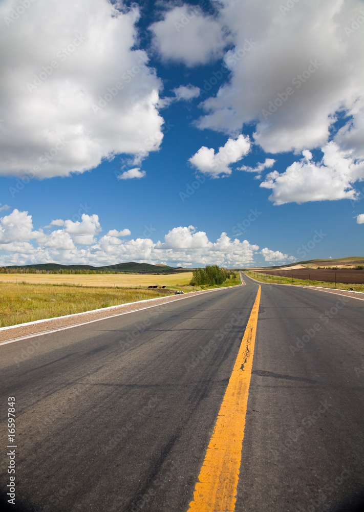 Fototapeta premium road