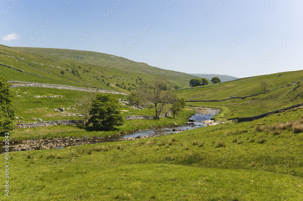 Fototapeta premium Langstrothdale