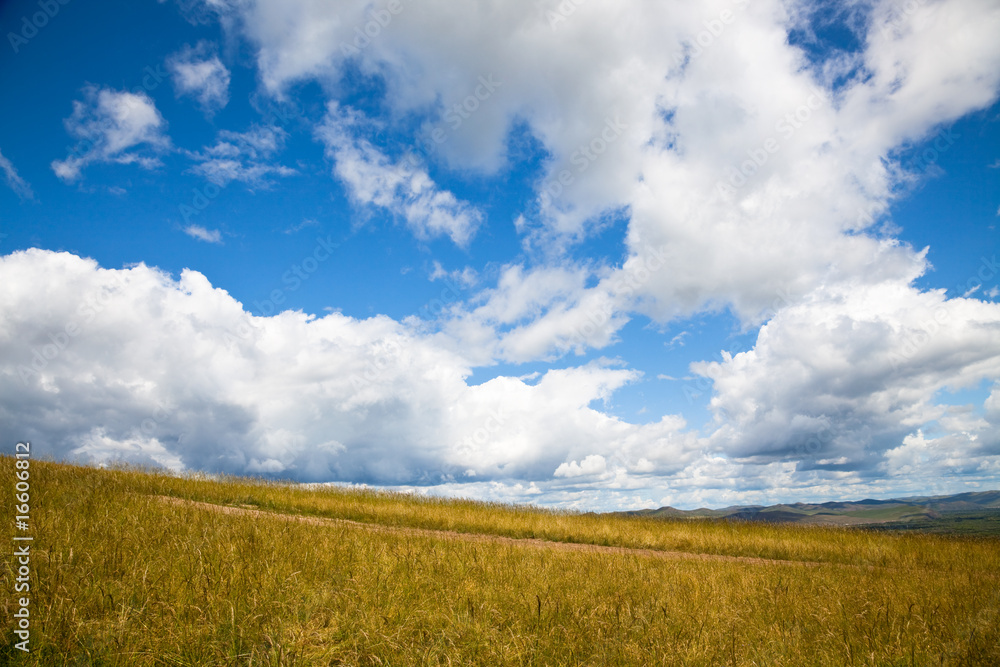 meadow of Inner Mongolia