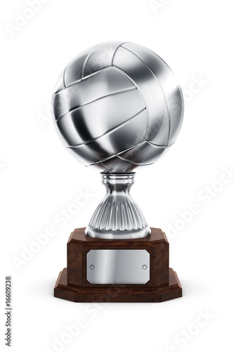 Silver Volleyball trophy