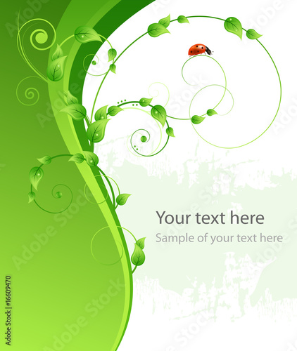 Ecology green abstract background with leafs and ladybird