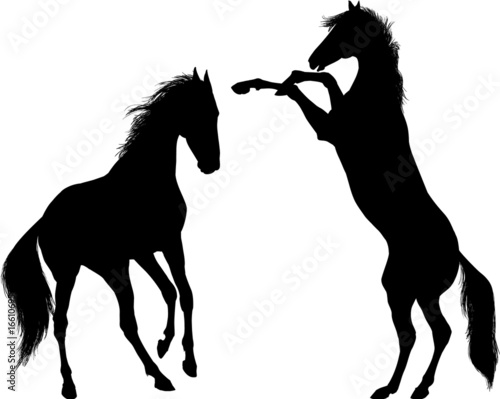 two playing horses vector silhouette illustration