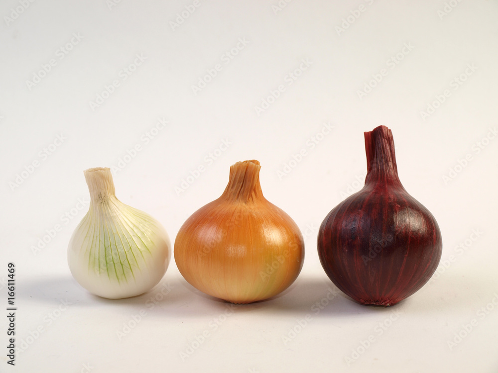 Obraz premium cebulki cebulki