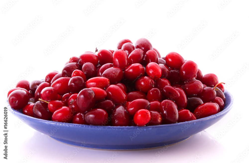 cranberries on the plate isolated on white cranberries on the plate isolated on white