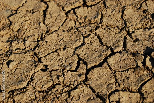 Cracked ground - global warming concept