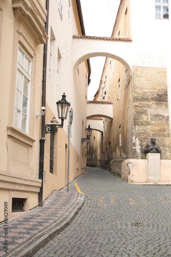 Canvas Print street from prague