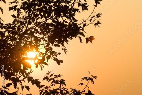 Fototapeta Naklejka Na Ścianę i Meble -  autumn sunset