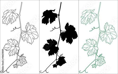 Vine leaves in three colors