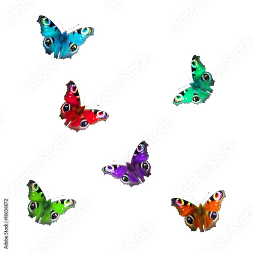 Bunte Schmetterlinge